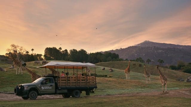 San Diego Zoo "See Conservation from a New Perspective" Campaign